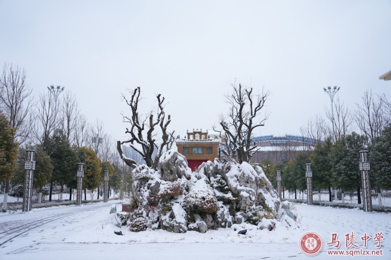 马陵中学雪景